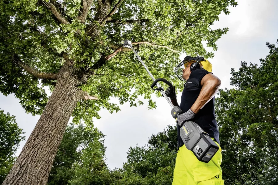 Perche élagueuse Interchangeable MT CS 250/36 KARCHER - Pour MT 36 Bp - 1.042-512.0 – Image 2